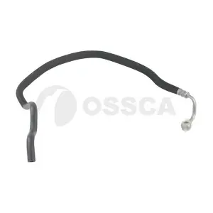 13724 OSSCA