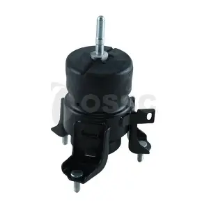 69816 OSSCA