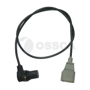 02882 OSSCA