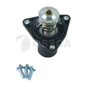 68986 OSSCA