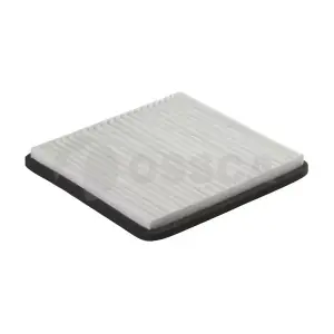 25979 OSSCA