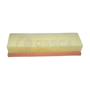 02962 OSSCA