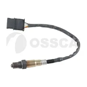 40496 OSSCA