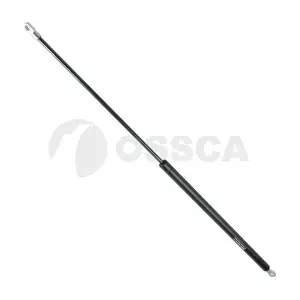 04672 OSSCA