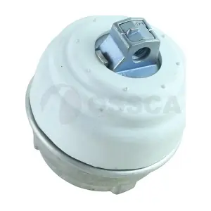 51733 OSSCA