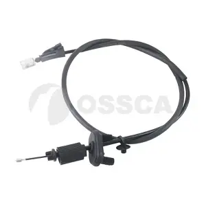 61082 OSSCA