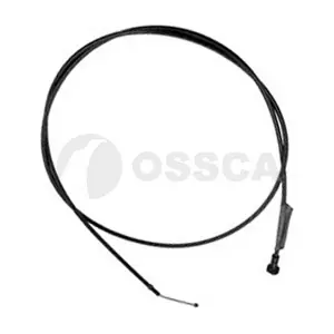02502 OSSCA