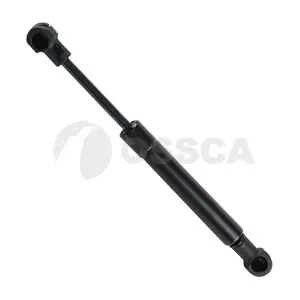 11936 OSSCA