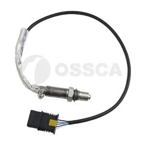 33600 OSSCA