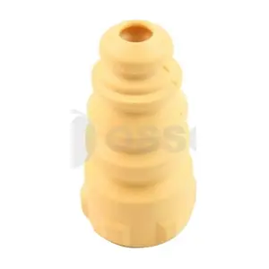 24859 OSSCA