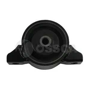 16073 OSSCA