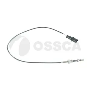32313 OSSCA