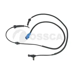 20462 OSSCA