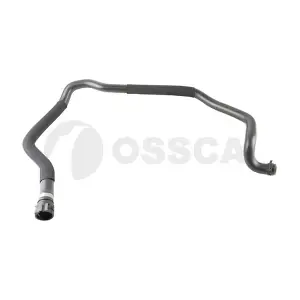 78181 OSSCA