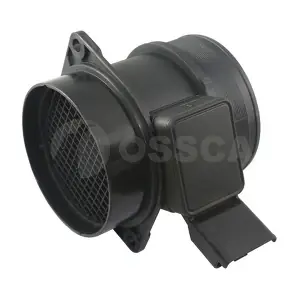 05096 OSSCA