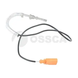 24610 OSSCA