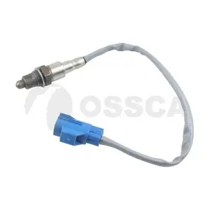 52860 OSSCA