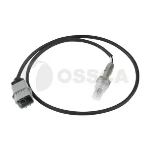 41572 OSSCA