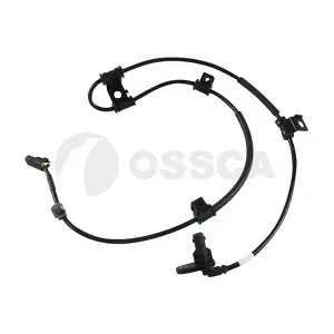 22069 OSSCA