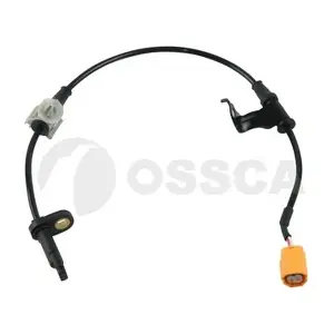 13125 OSSCA