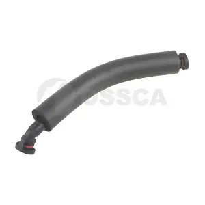 25210 OSSCA