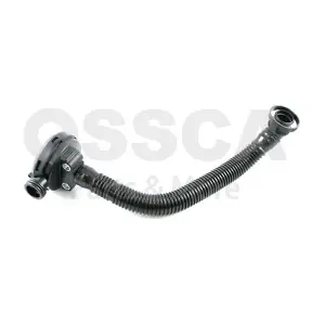 55345 OSSCA