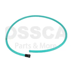 94781 OSSCA