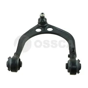 69780 OSSCA