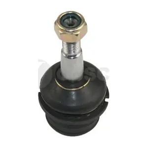 OSSCA 01251