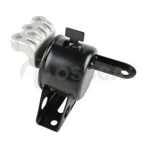 OSSCA 52561