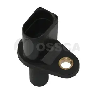 06596 OSSCA