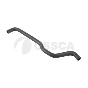 21691 OSSCA