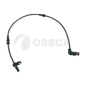30618 OSSCA