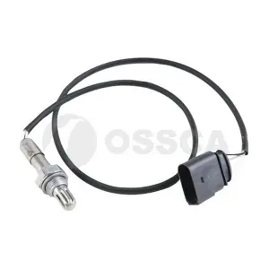 40337 OSSCA