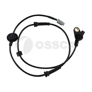 16941 OSSCA