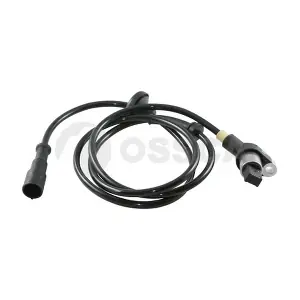 05322 OSSCA
