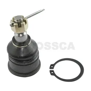 09753 OSSCA