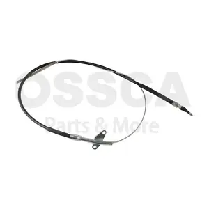 45590 OSSCA