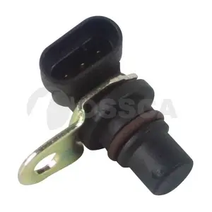 13451 OSSCA