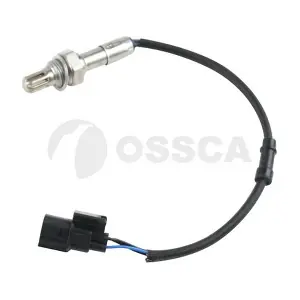 41073 OSSCA