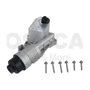 95555 OSSCA