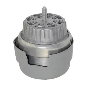 09565 OSSCA
