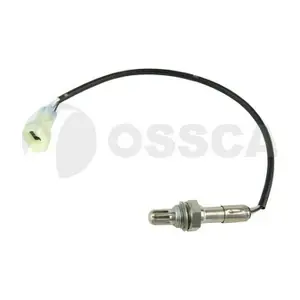 35243 OSSCA