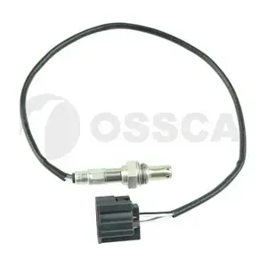 33231 OSSCA