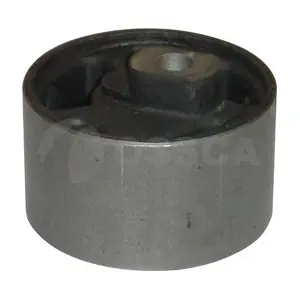 OSSCA 01311