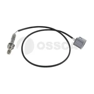 41698 OSSCA