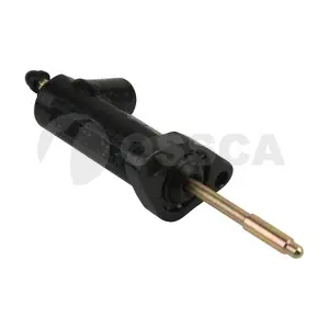 09505 OSSCA