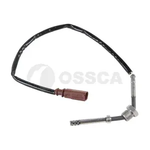 32551 OSSCA