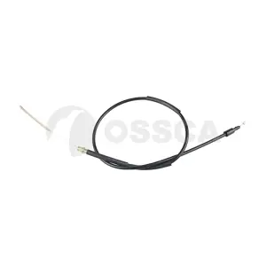 49789 OSSCA