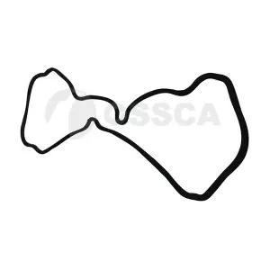 16720 OSSCA